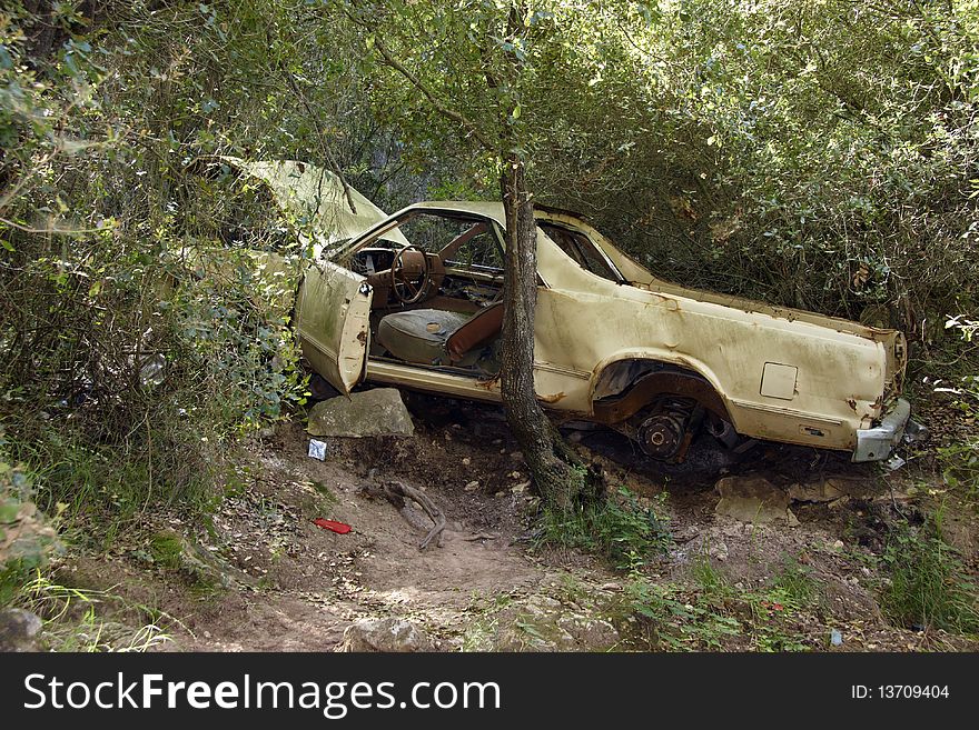 Car wrack stuck in the forest