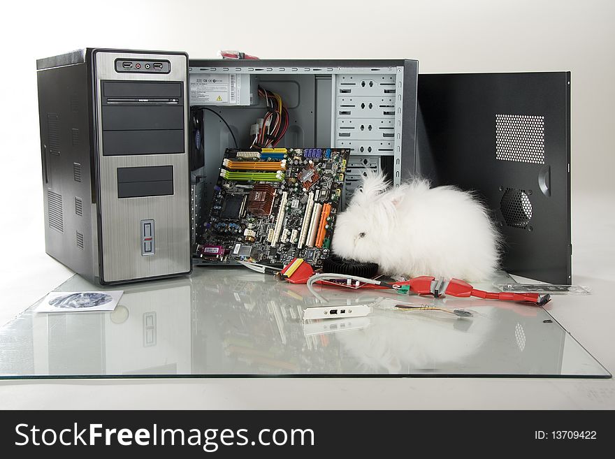 Rabbit Near Non-assembled Computer