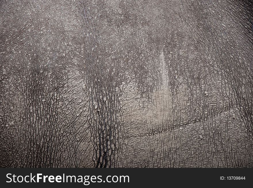 Animal rhinoceros skin texture background