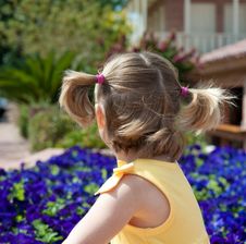 Free Child Stock Photo - 13711620