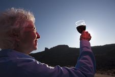 Elderly Woman Toasting A Glass Of Wine Royalty Free Stock Photo Elderly Woman Toasting A Glass Of Wine Royalty Free Stock Photo