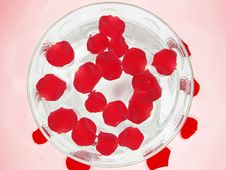 Water For Spa With Rose Petals Royalty Free Stock Photo Water For Spa With Rose Petals Royalty Free Stock Photo
