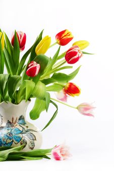 Bouquet Of The Fresh Tulips Stock Photos