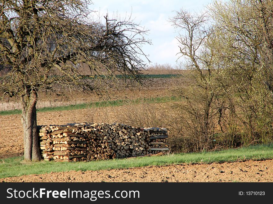 An apple tree with a stack of wood in between some fields.