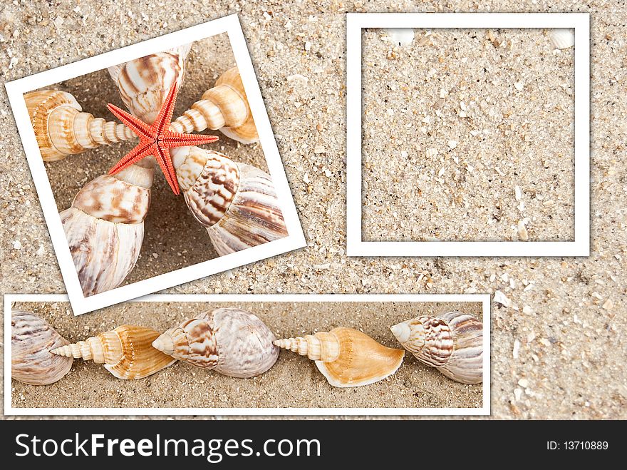 Beautiful background in the form of sand and shells in frames