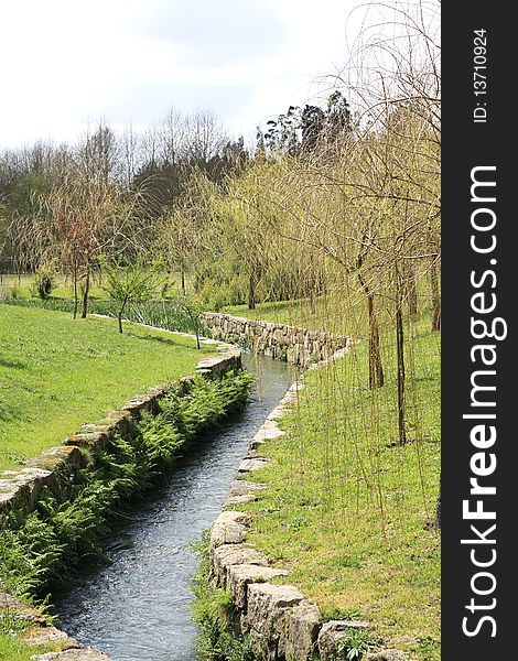 Spring, flowing stream, the first leaves appear