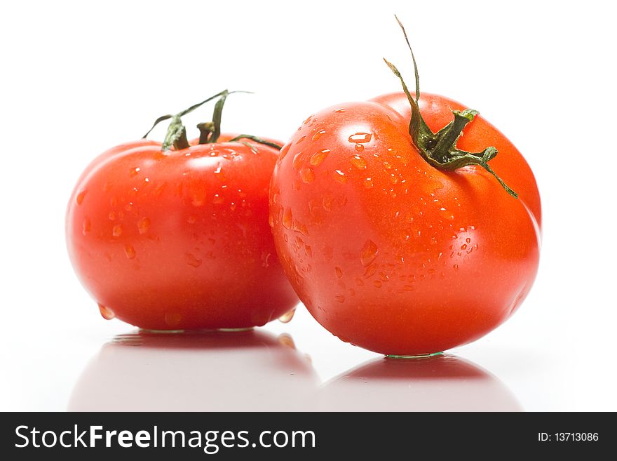 Tomatoes on a white background