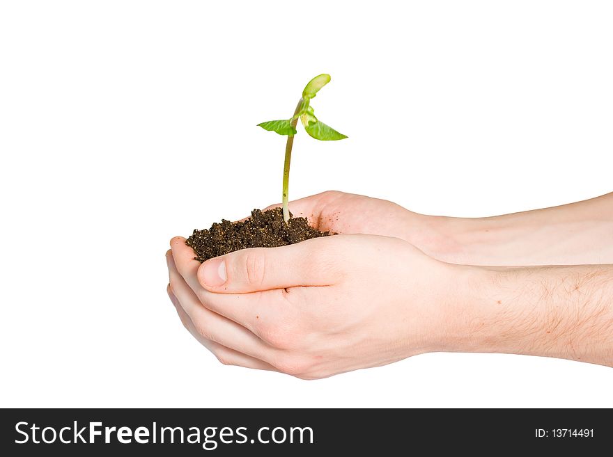 Two hands with a plant and dirt