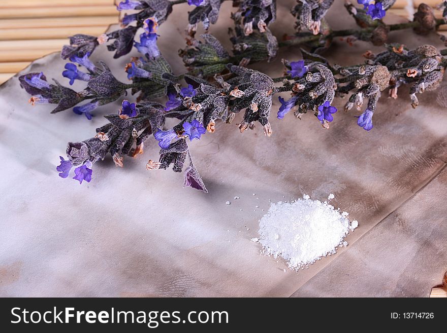 Alternative medicine - a branch of a lavender and a powder used in homoeopathy.