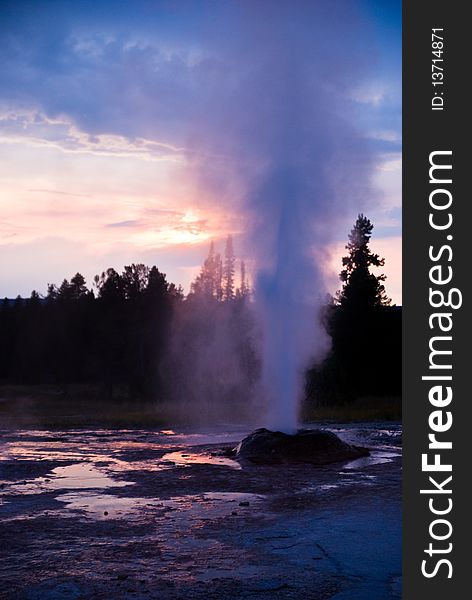 Great Fountain geyser erupts with mist and steam in the cool evening light in Yellowstone Park. Great Fountain geyser erupts with mist and steam in the cool evening light in Yellowstone Park