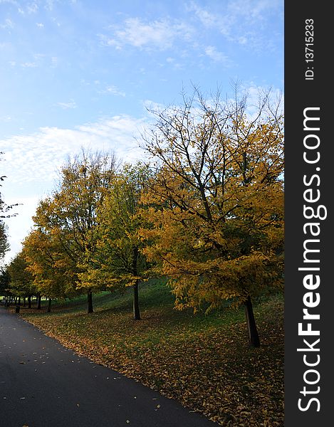 Trees in autumn lining a road against blue cloudy sky. Trees in autumn lining a road against blue cloudy sky