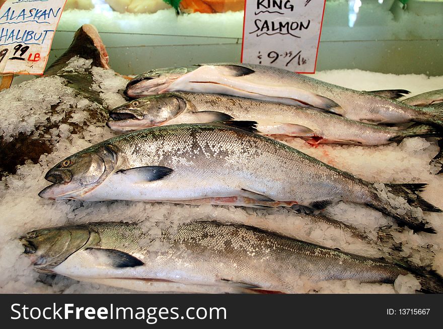 Freshly caught King Salmon for sale at a local market  . Freshly caught King Salmon for sale at a local market