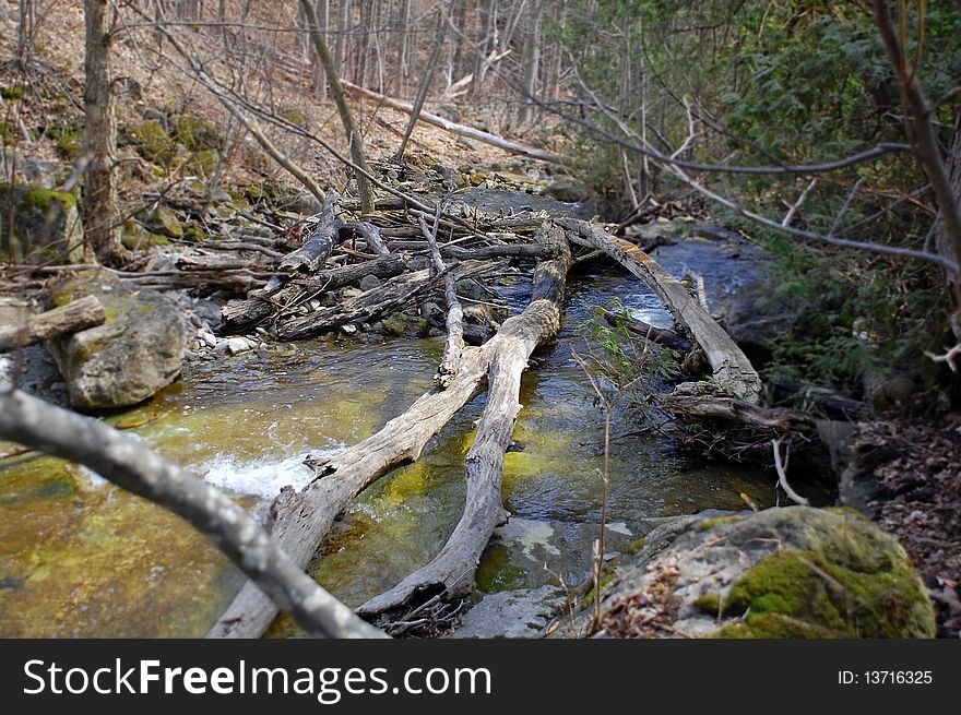 A pile of twigs and branches in the middle of a rushing stream, indicating the presence of beavers. A pile of twigs and branches in the middle of a rushing stream, indicating the presence of beavers.