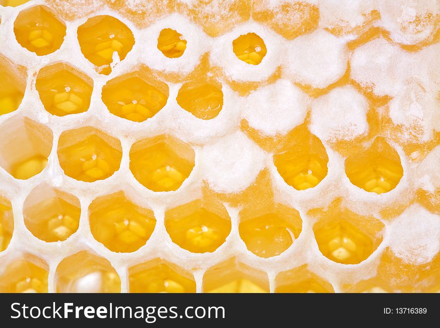 Background with golden cells of a honeycomb. Background with golden cells of a honeycomb