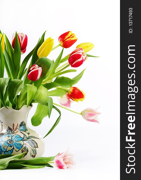 Bouquet of the fresh tulips on white background