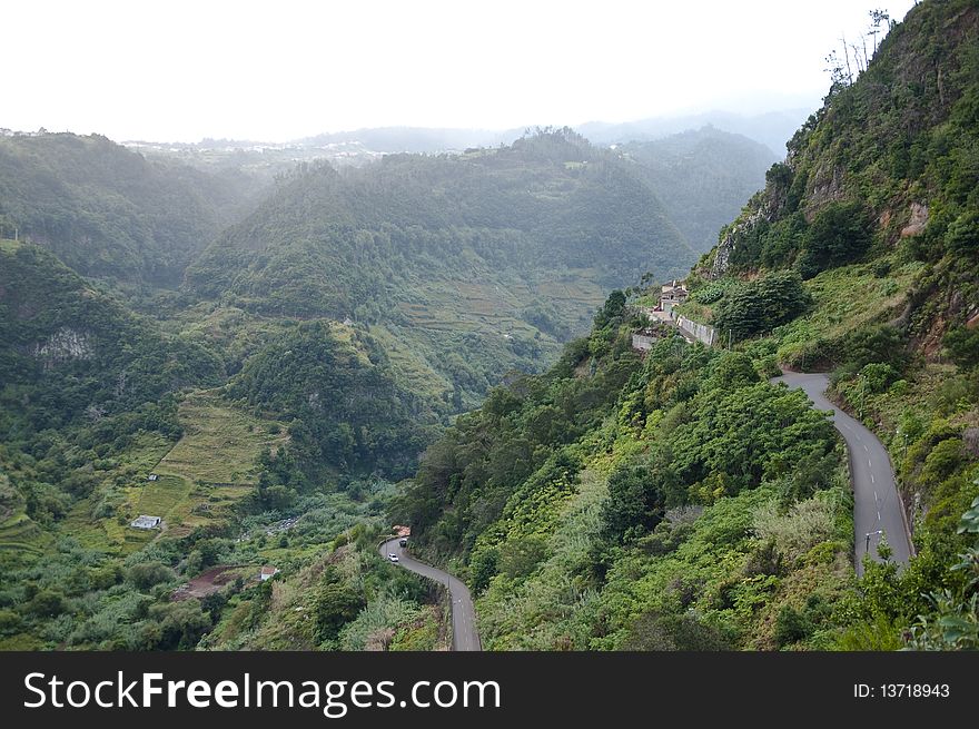 Madeira landscape, Portugal island rainforest
