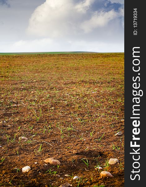 Farm field with agriculture land and blue sky