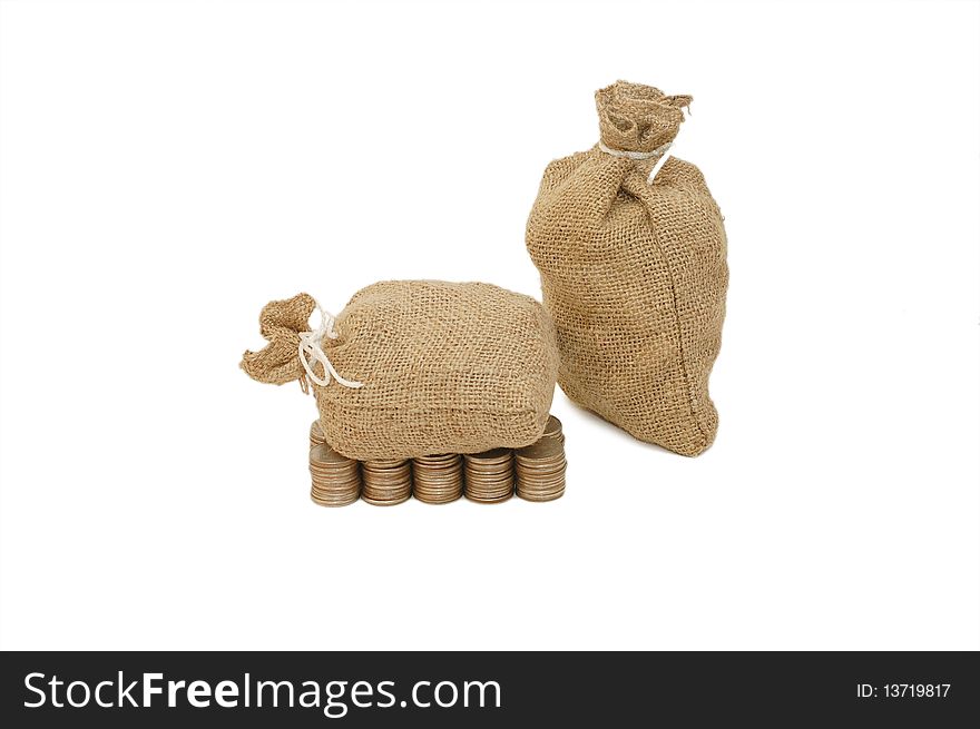 Money coins in bag