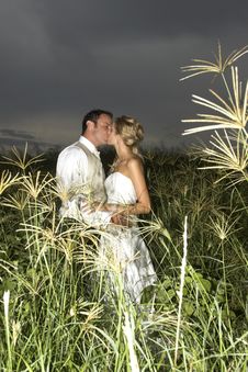 Bridal Couple Royalty Free Stock Image Bridal Couple Royalty Free Stock Image