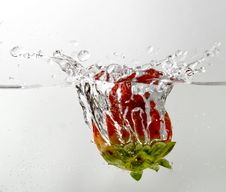 Strawberry Splash Stock Photo