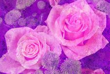 Vintage Styled Floral Picture Royalty Free Stock Photography Vintage Styled Floral Picture Royalty Free Stock Photography