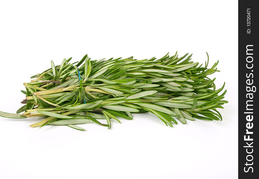 Rosemary herb. Close up on white background