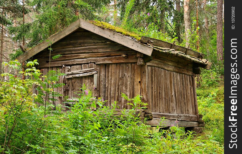 Old finnish barn. Summer season. Forest in background