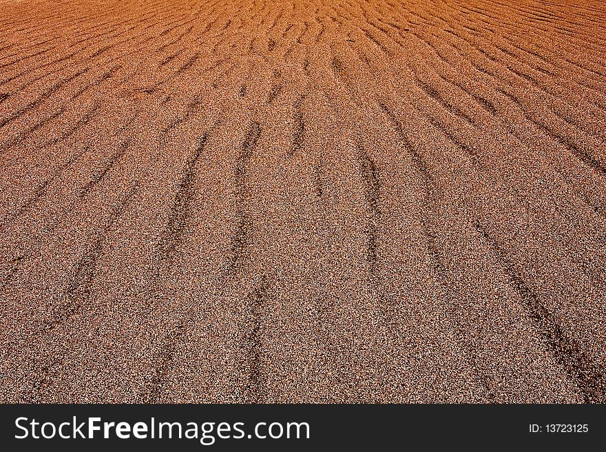 Landscape texture of sand texture