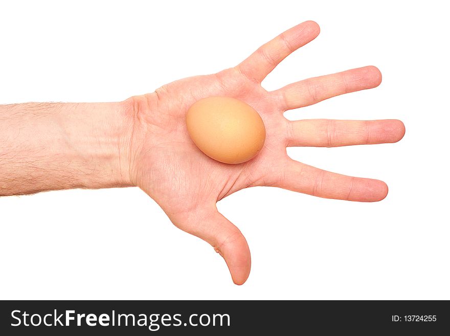 Egg In A Hand On A White Background