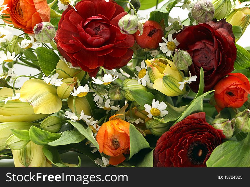 Bright background of multi-colored flowers
