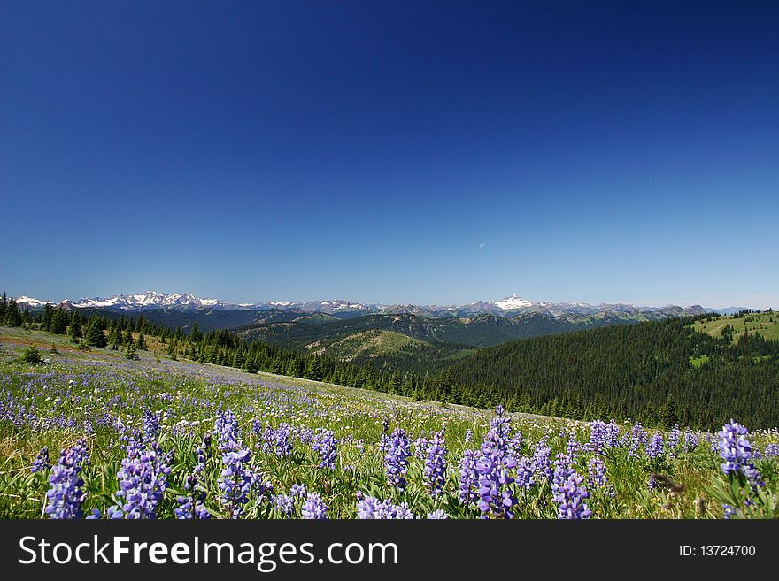 Summer hiking view from manning park. Summer hiking view from manning park.