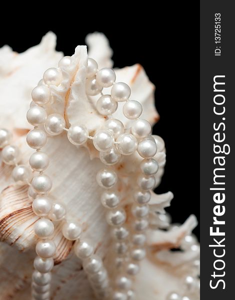 Neckchain With Seashell