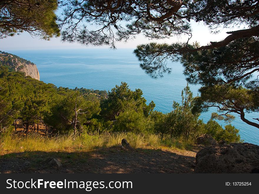 Sea coastline in Crimea in Ukraine