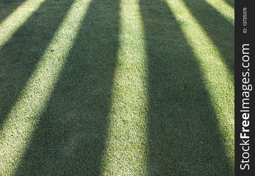 Convergent perspective shadows on grass background