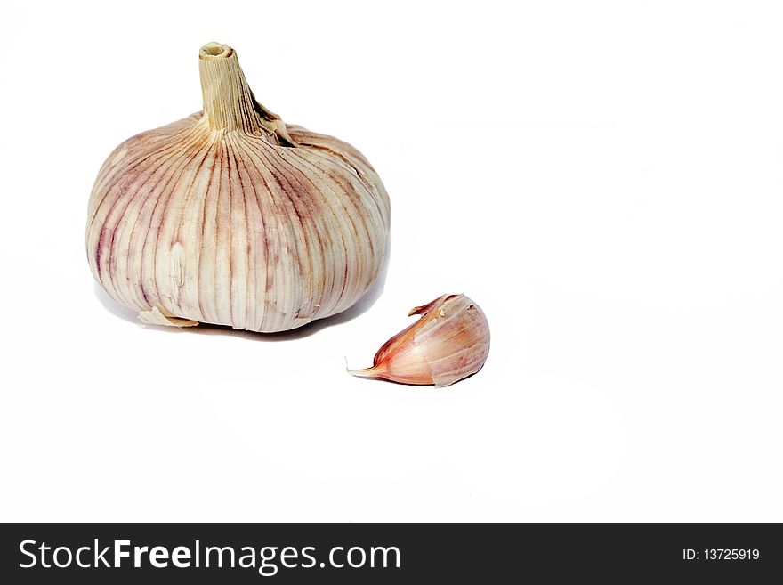 Garlic