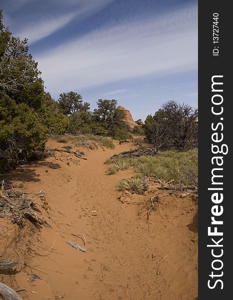 Deserted Trail in the backcountry of Arches