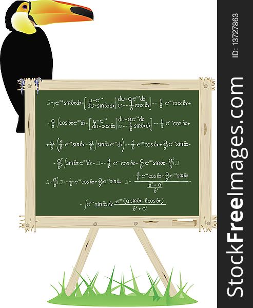 The cockatoo sits on a school board on which mathematical formulas are written. The cockatoo sits on a school board on which mathematical formulas are written