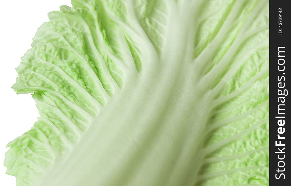 Green salad leaf isolated on a white background