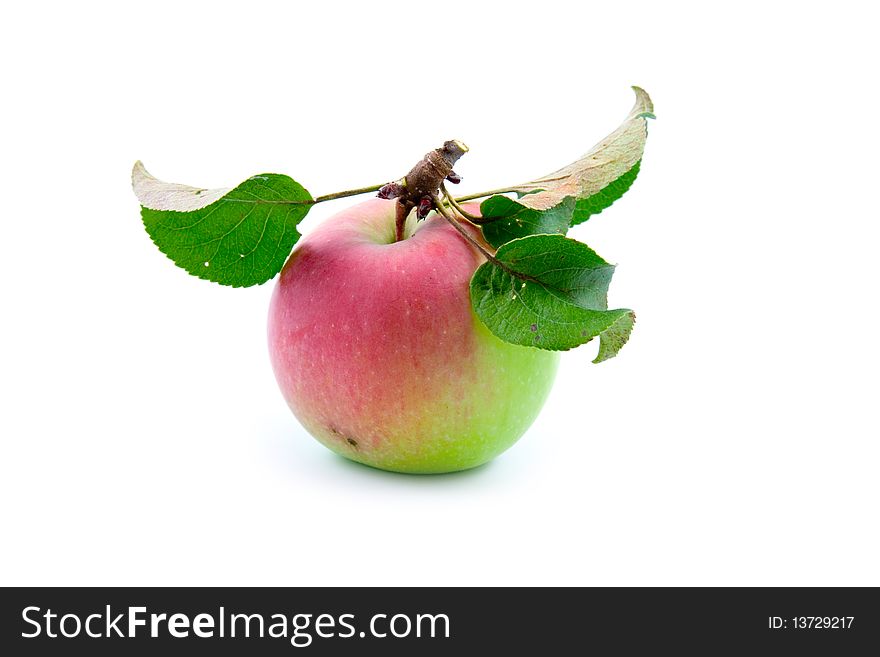Ripe apple isolated on a white background
