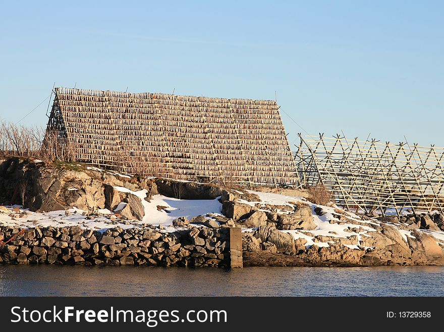 Cod hanging to dry, Svolvaer harbour, Lofoten islands, Polar circle,. Cod hanging to dry, Svolvaer harbour, Lofoten islands, Polar circle,