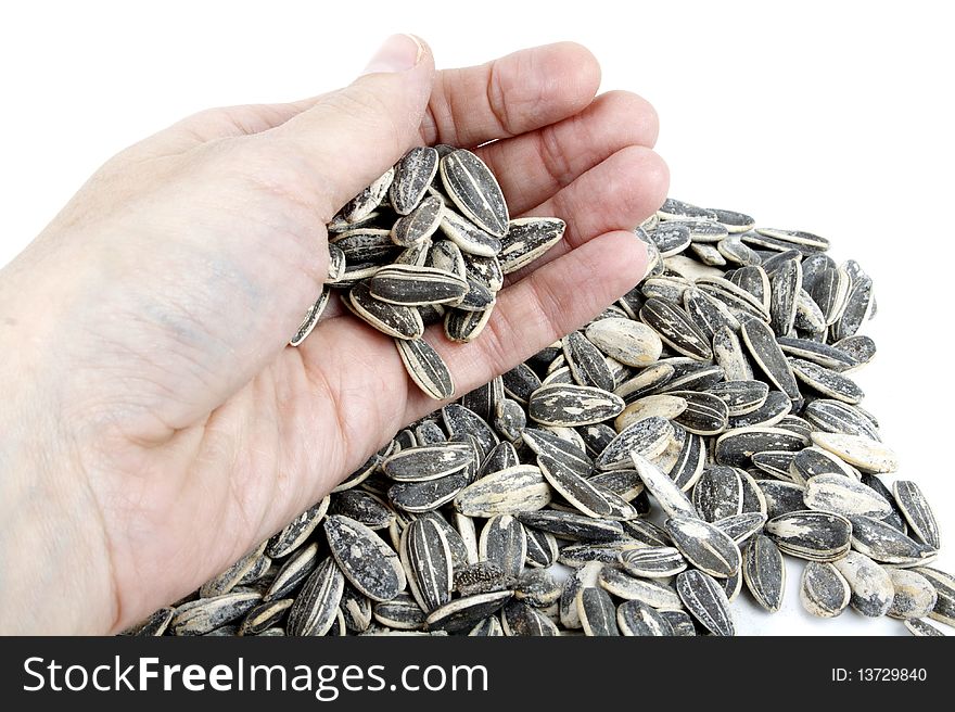 Sunflower Seeds