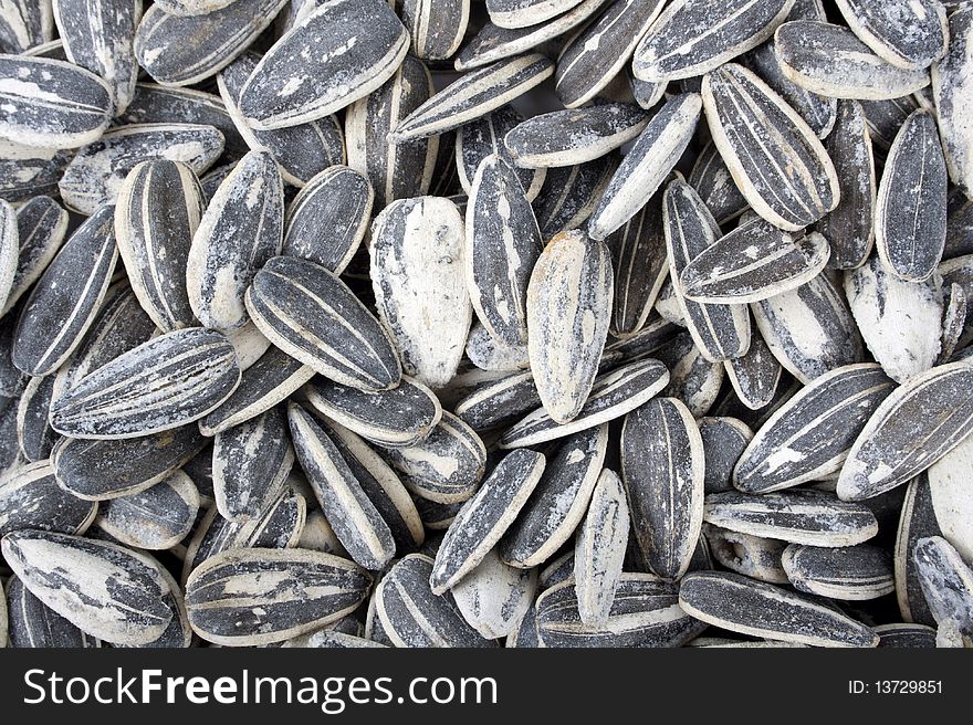 Sunflower seeds background - closeup image