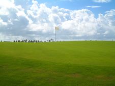 Palm Trees On Luxury Golf Course Stock Image Palm Trees On Luxury Golf Course Stock Image