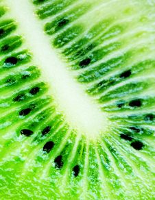 Kiwi Background Stock Images Kiwi Background Stock Images