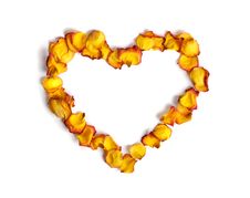 Heart Made From Rose Petals Royalty Free Stock Photography Heart Made From Rose Petals Royalty Free Stock Photography