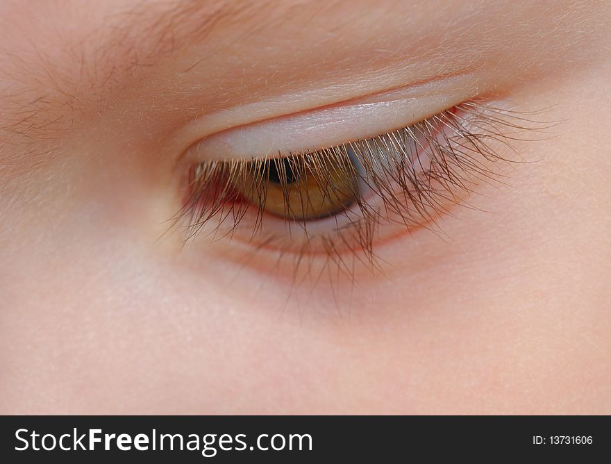 Closeup view of eyelashes of a child with soft focus on eye
