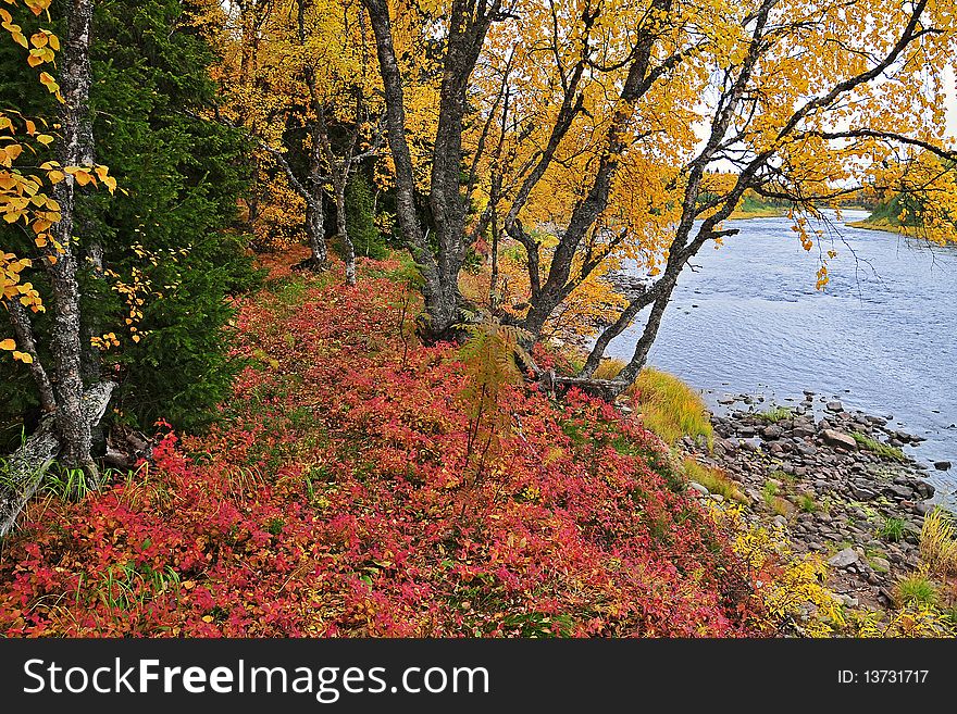 An Autumn At The River 4