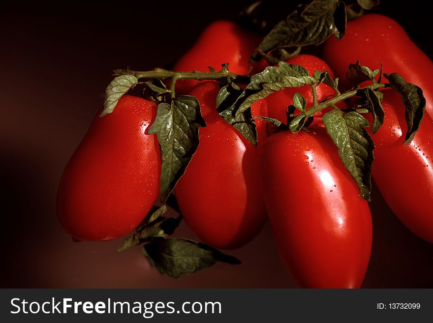 Small bunch of red tomatoes. Small bunch of red tomatoes