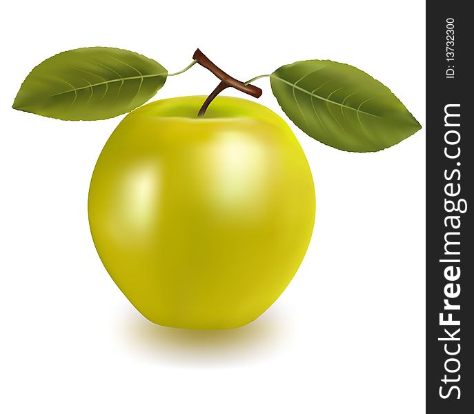 Photo-realistic  illustration. Green apple with two leaves. Photo-realistic  illustration. Green apple with two leaves.