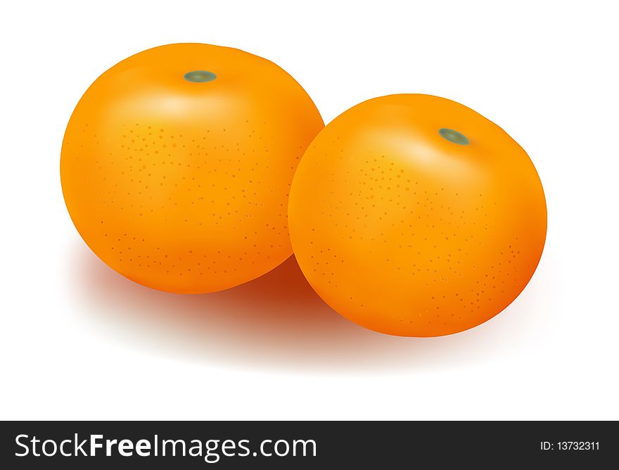 Photo-realistic  illustration. Two ripe tangerines.